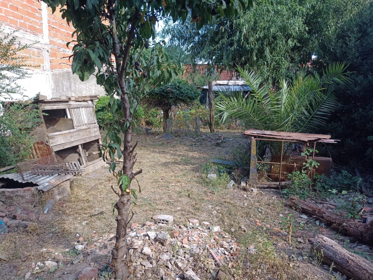 CASA A RECICLAR SOBRE AMPLIO TERRENO DE 400 M2 EN JOSE LEON SUAREZ